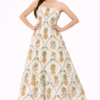 Pineapple Bird Strapless Smocked Maxi Dress