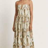 Pineapple Bird Strapless Smocked Maxi Dress